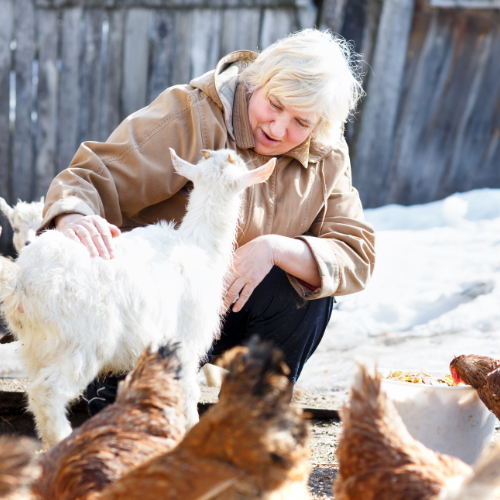 adult woman stroking little kid on the home farm