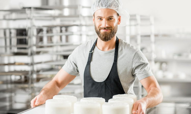 goat cheese maker